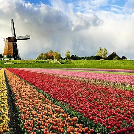 Hotel Logeren Op Dijk43 Broek op Langedijk Pokoj fotografie