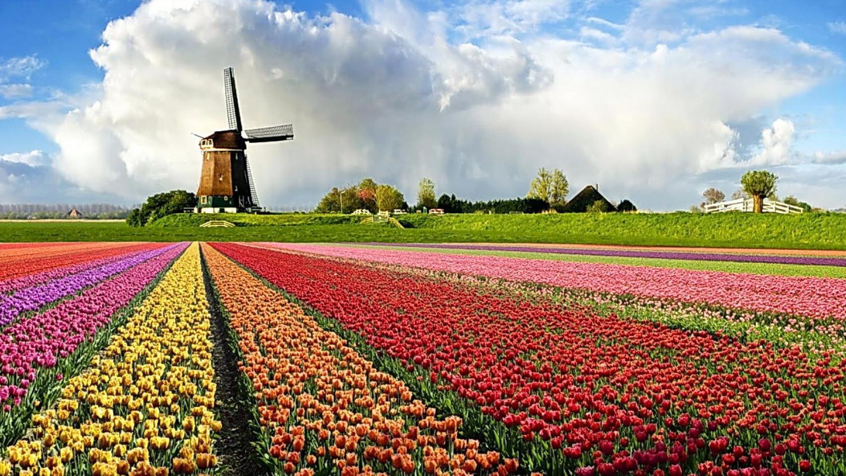 Hotel Logeren Op Dijk43 Broek op Langedijk Pokoj fotografie